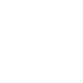 Camera icons